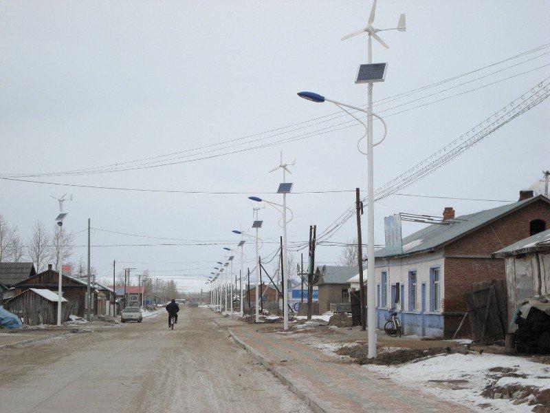 黑龙江七台山市某道路路灯