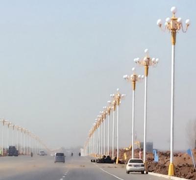 宁夏固原市某道路中华灯